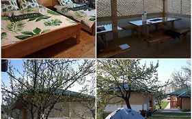 Apartments In Nature